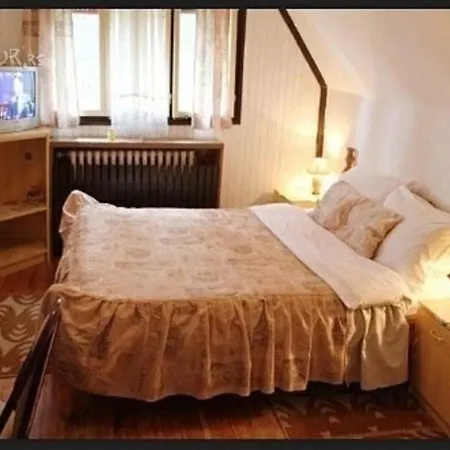 Miris Borova Centar Apartment *
